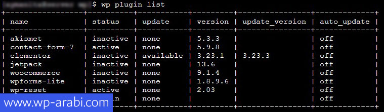 عرض جميع الإضافات المثبتة باستخدام أداة WP-CLI